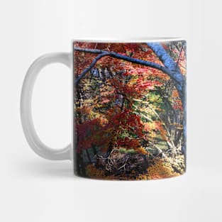 Autumn Gold in the Parkland Mug